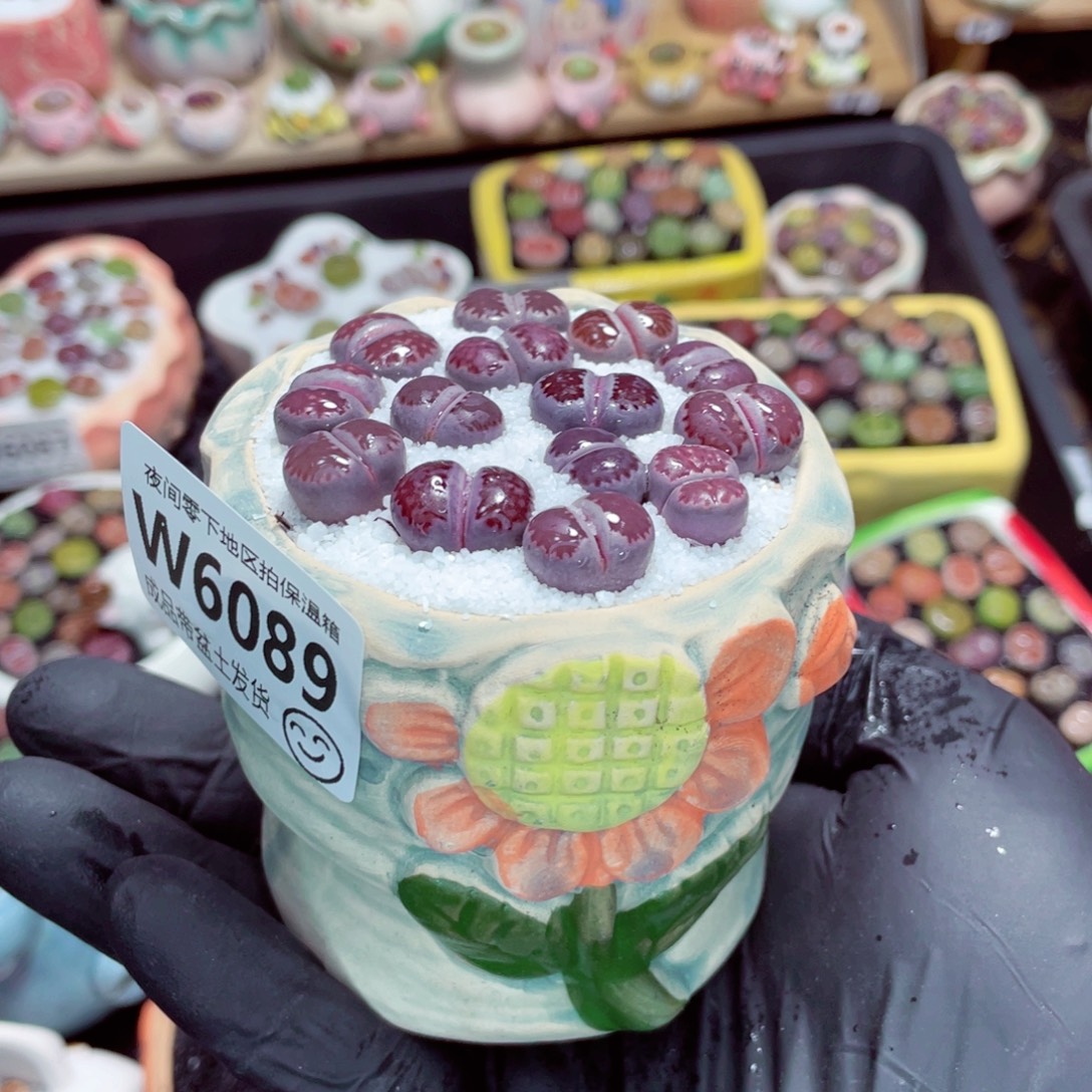 夜间零下地区拍保温箱w6089