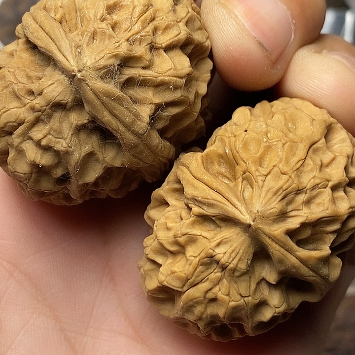 文玩核桃把件云南铁核桃14