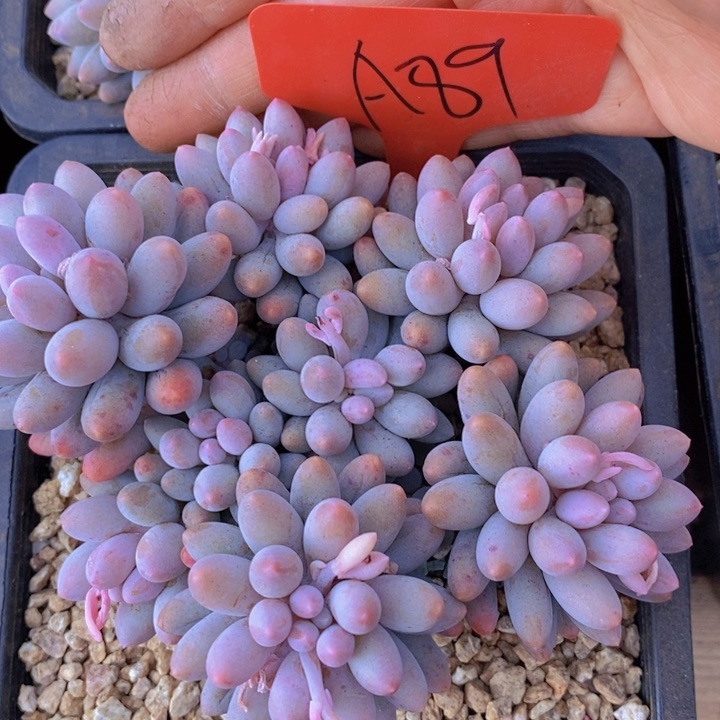 在家干吗你现在不