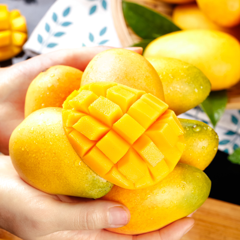 JJ【全黄后放冰箱】海南小台农芒果5/8斤当季新鲜水果香甜肉嫩