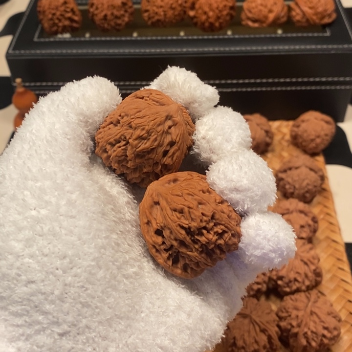 东***北41 南疆石涿鹿 核桃