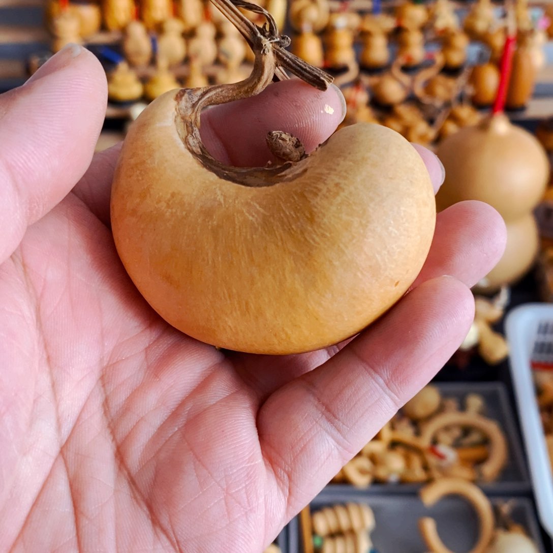 *️ི***精品葫芦精品精品的