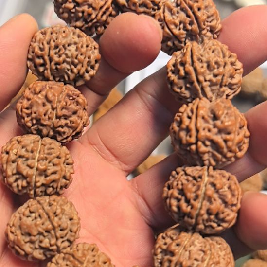 手串金刚菩提七瓣大金刚手串，原生态的，平头平尾，精挑细选