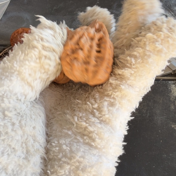 文玩核桃吊坠佛度