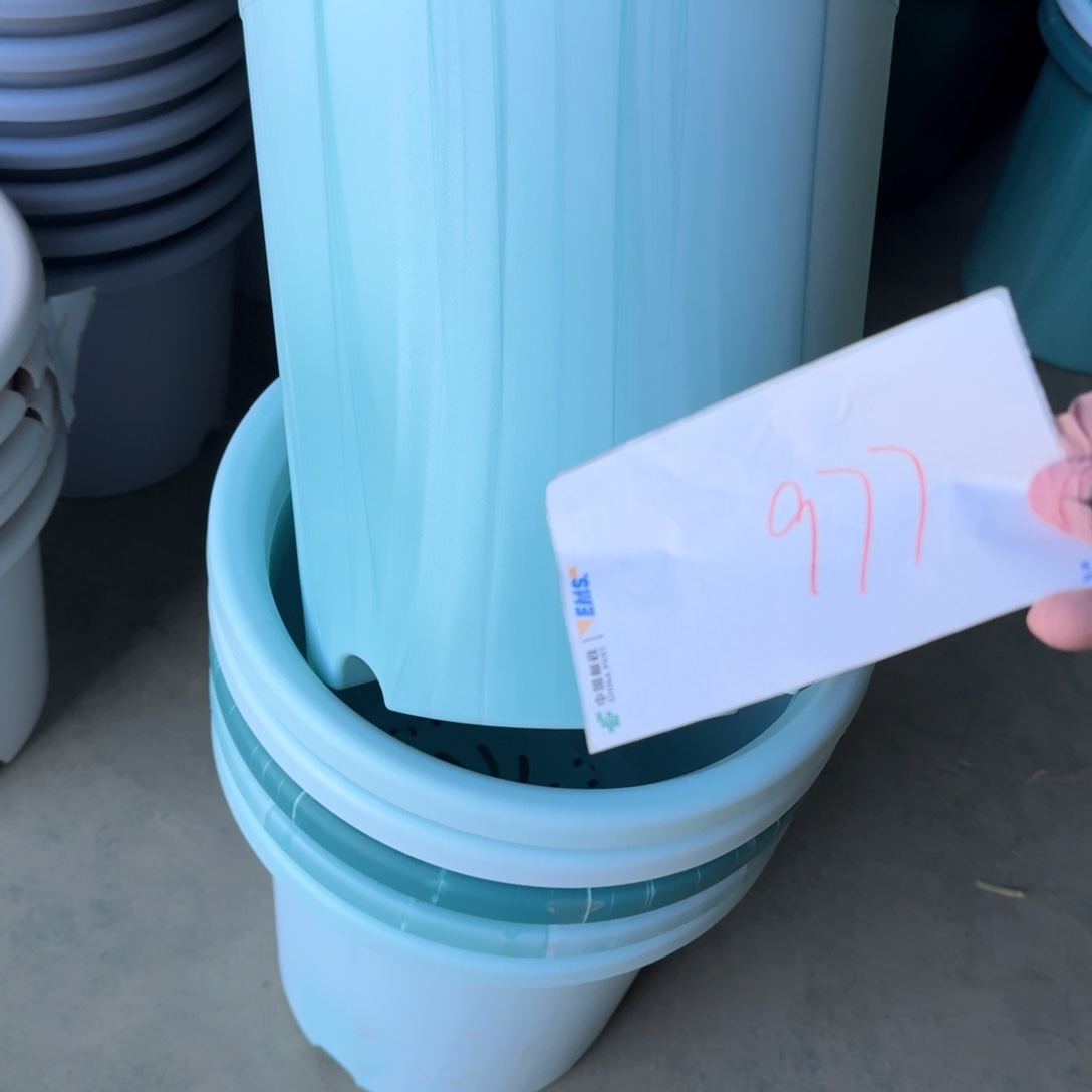 编号977串色口径33