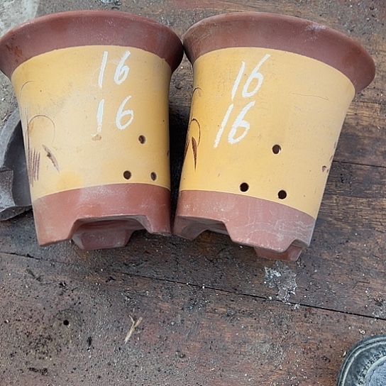 紫砂工艺厂……紫砂工艺厂……