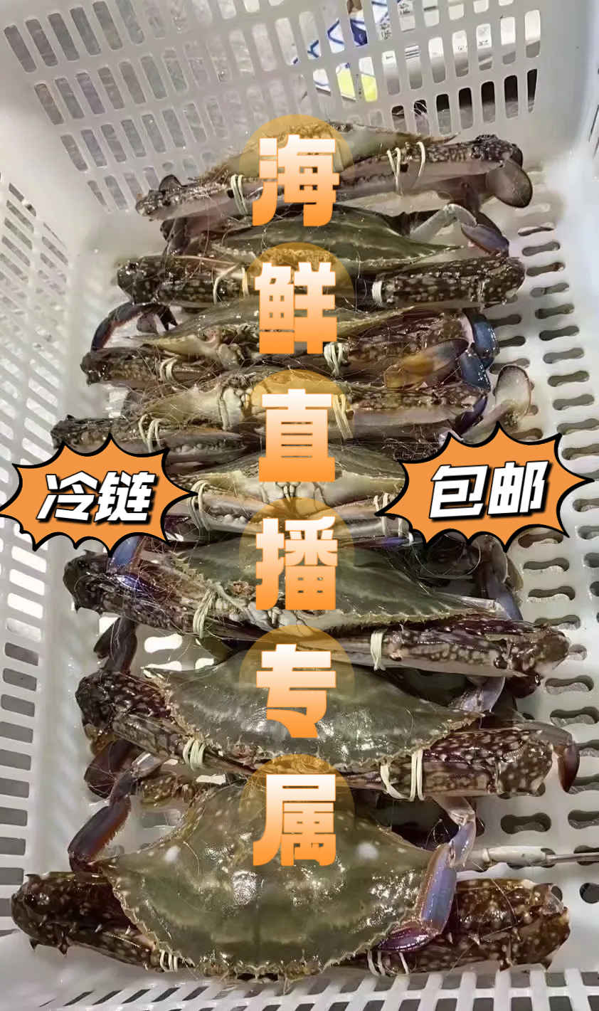 【直播专属】4-6两/只 到手8大只 母 液氮活冻锁鲜顺丰京东冷链发货