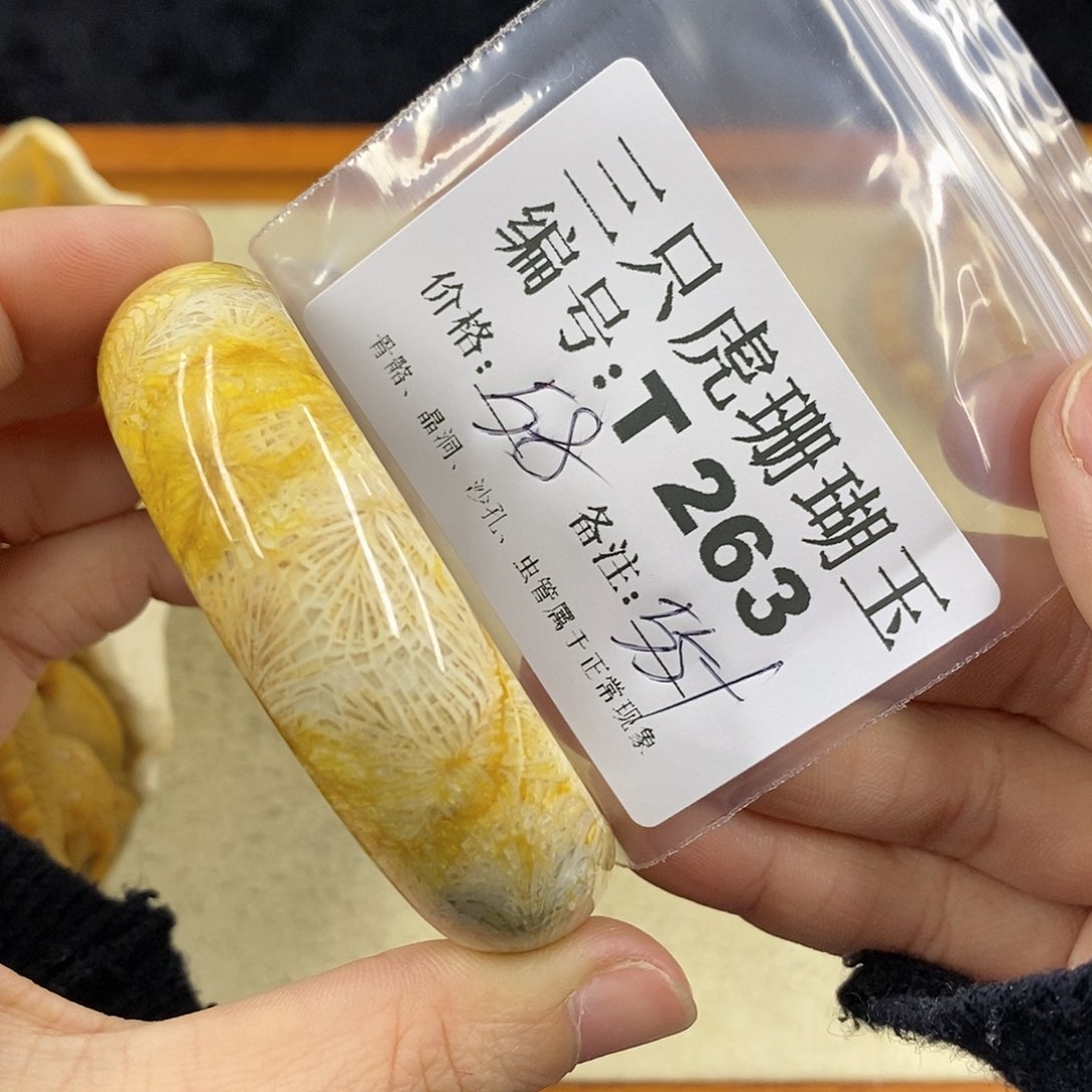 硅化珊瑚（珊瑚玉）1 未镶嵌莫*