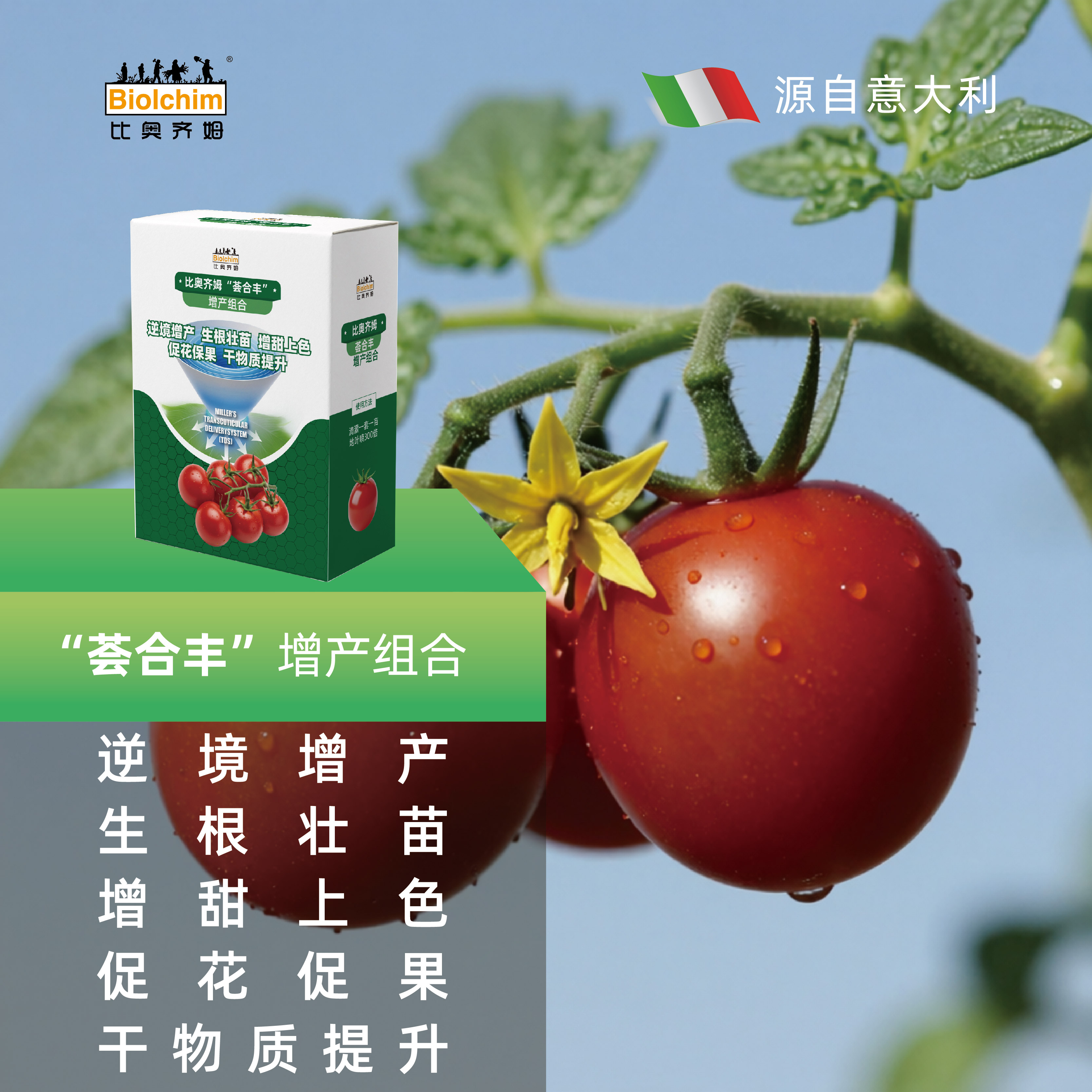 荟合丰番茄壮棵促花套餐#番茄#促花壮棵#抗逆增产