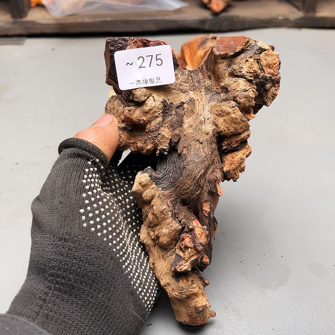 西***a无花朵0000000000000275