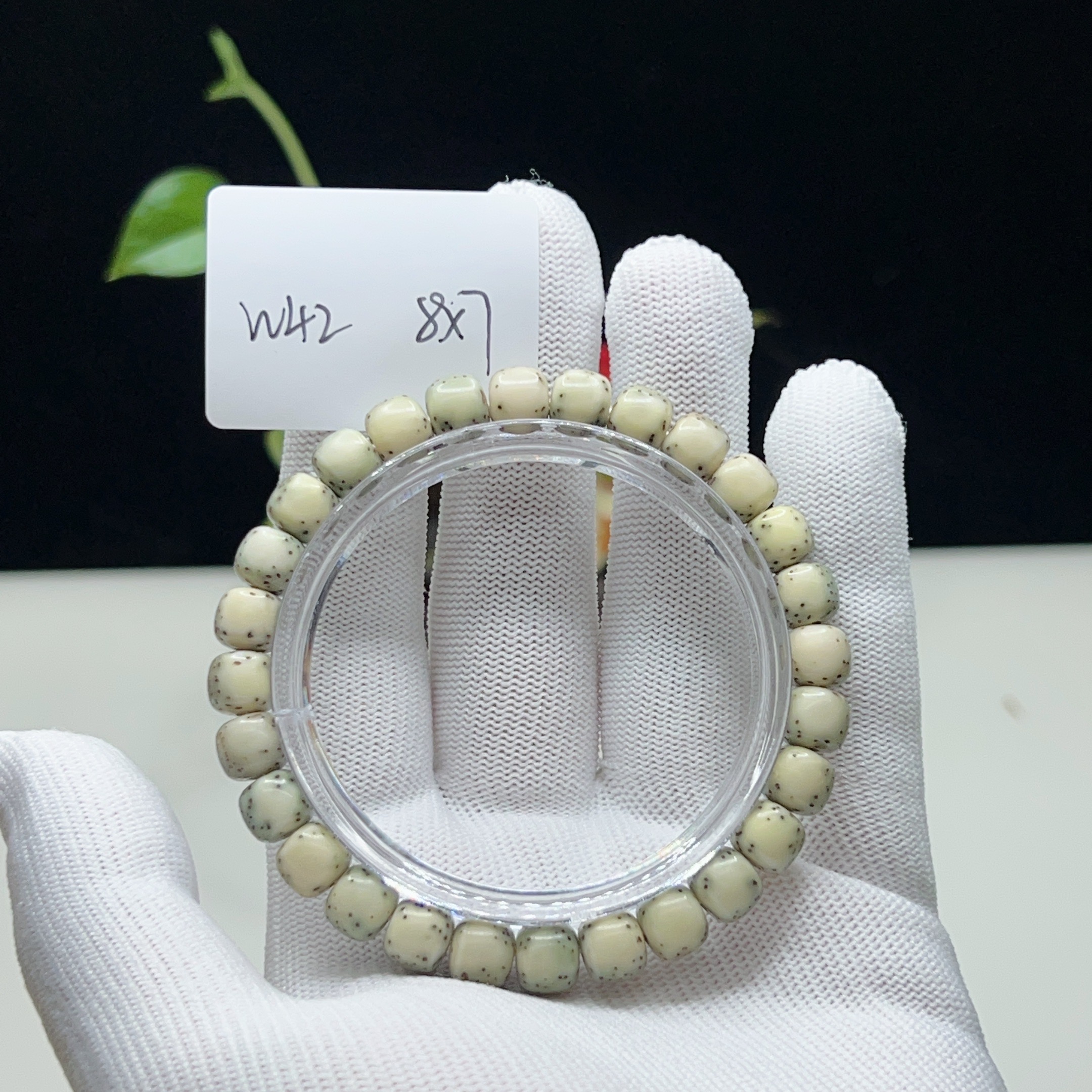 W42绿背河豚8×7无月大留白一物一图星月菩提手串