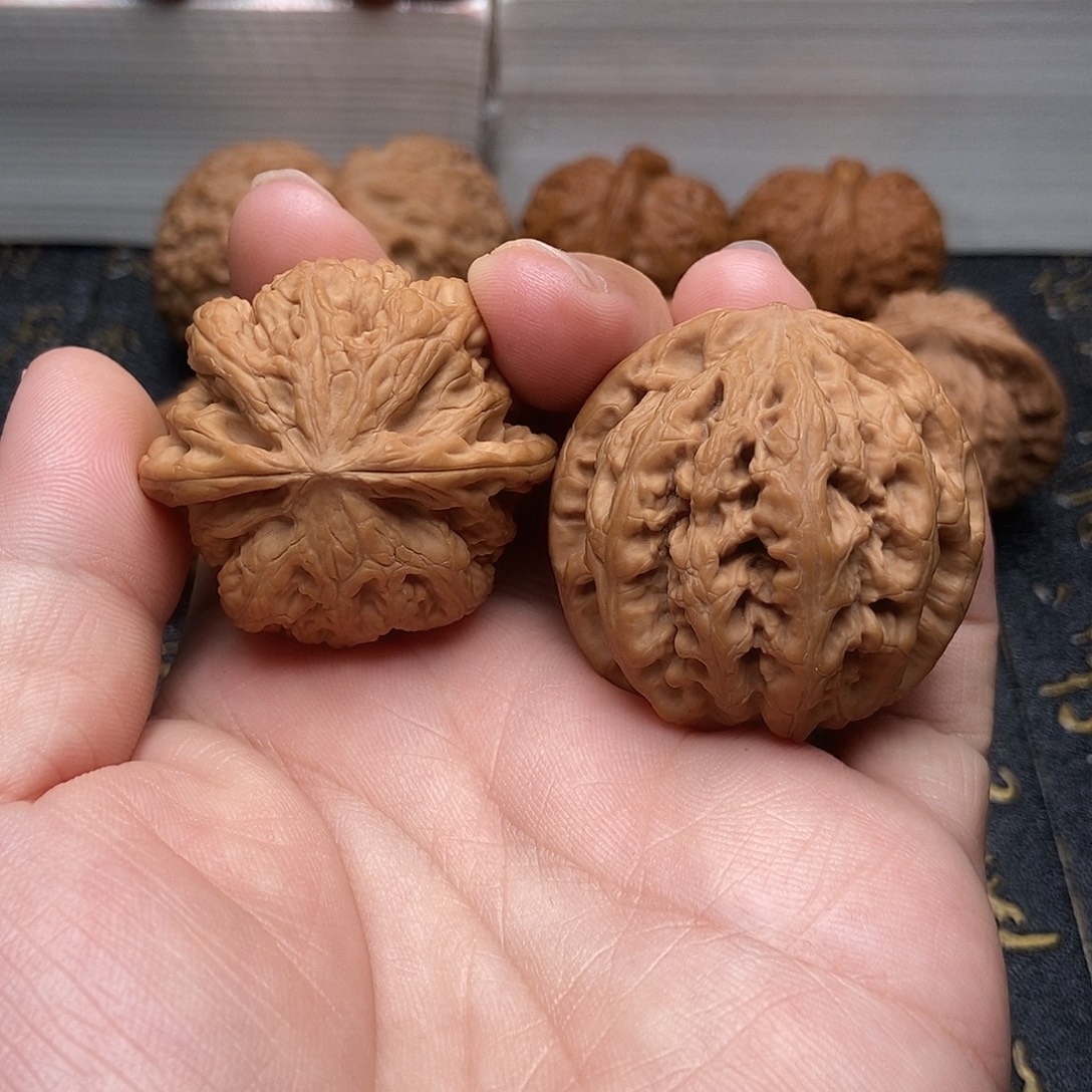 40尺粗筋全品无修