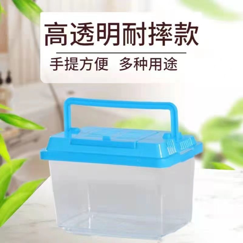 手提盒金丝熊周日福利