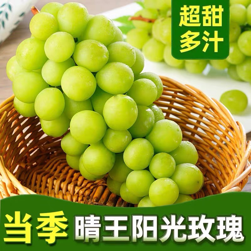 云南现摘阳光玫瑰葡萄3斤大果王晴王香印新鲜青提应季孕妇水果