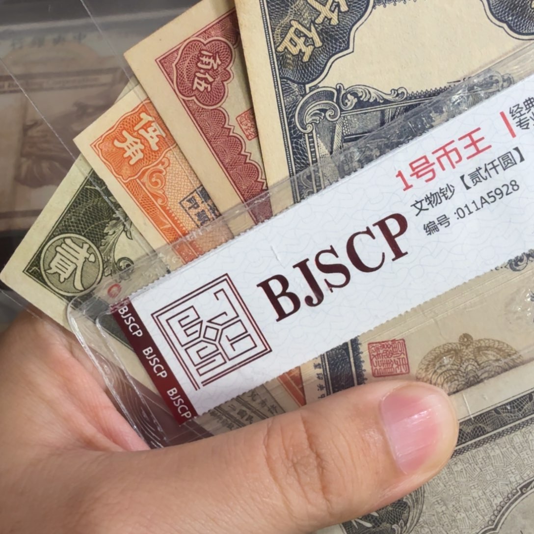 车***）中央海南广东山东