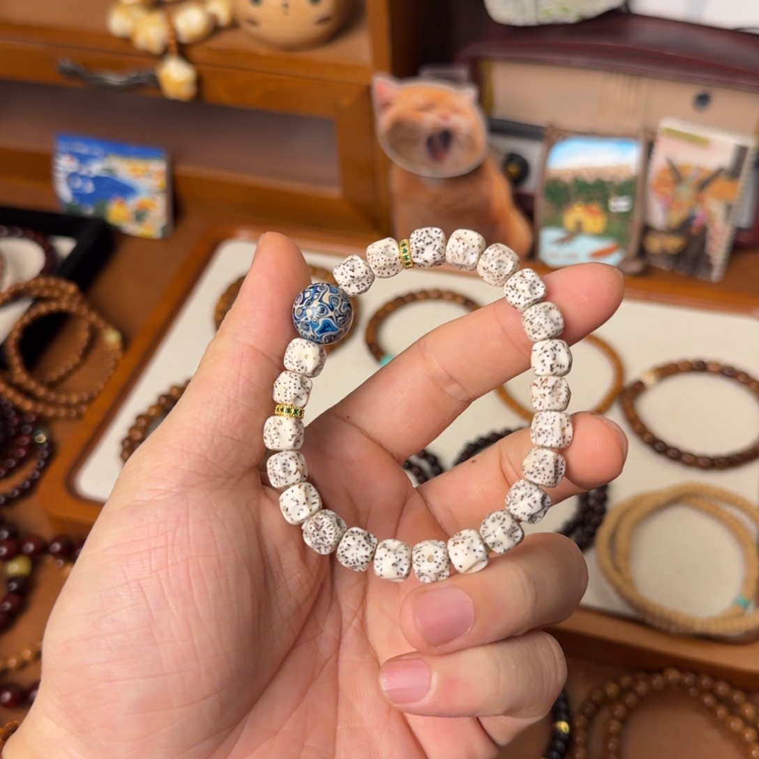 手串菩提根/象牙果多样性