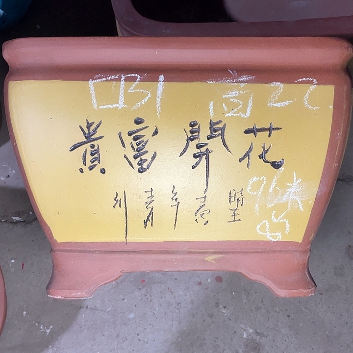 红陶紫砂紫砂紫砂