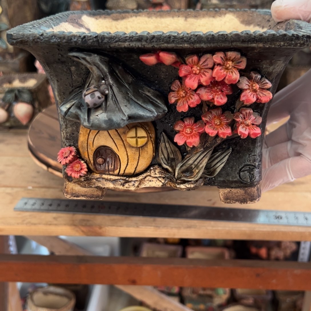 红陶用****5青藤多肉花盆