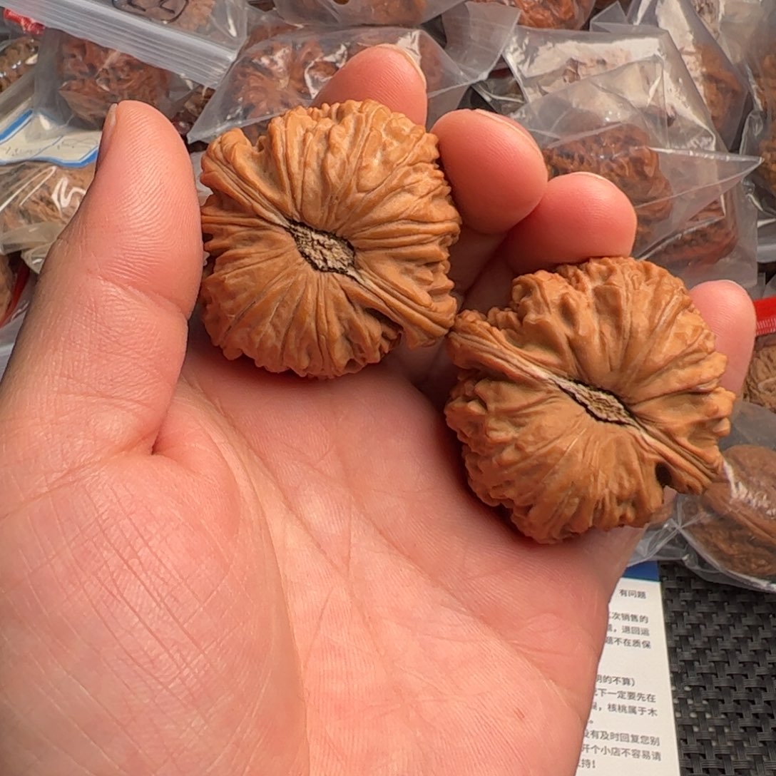 文玩核桃把件45白狮子卡姿兰