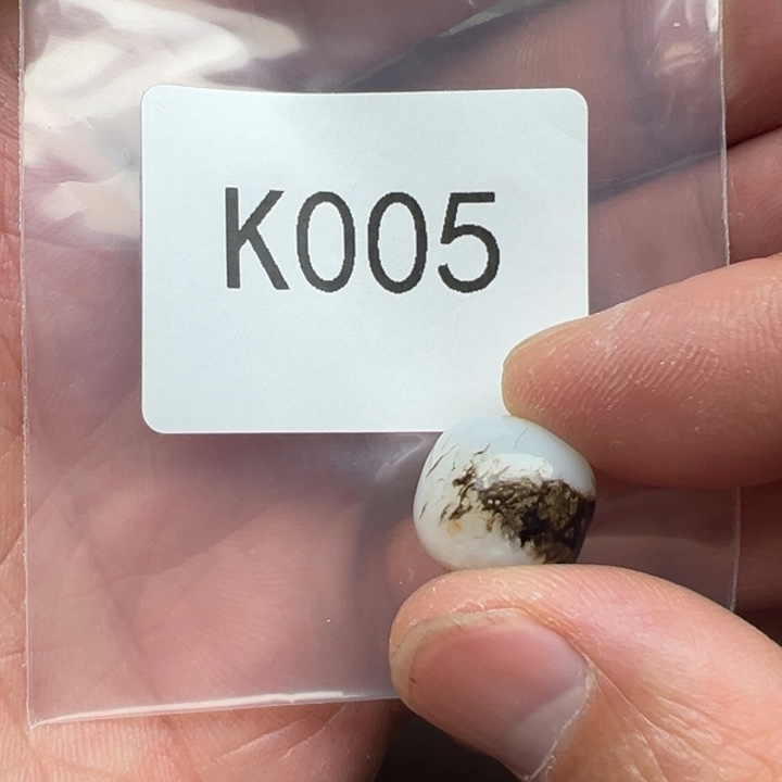 菩提根/象牙果吊坠