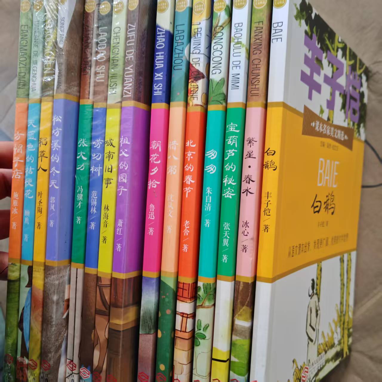 课本名家美文精选城南旧事