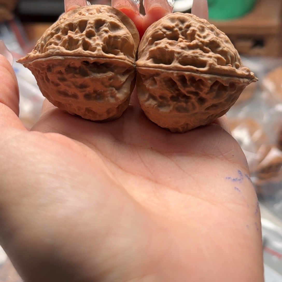 文玩核桃把件关东木子楸百核53