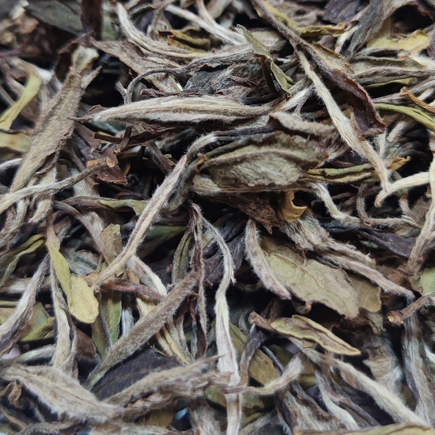2017年炭焙一级白牡丹福鼎白茶磻溪茶高山茶散茶