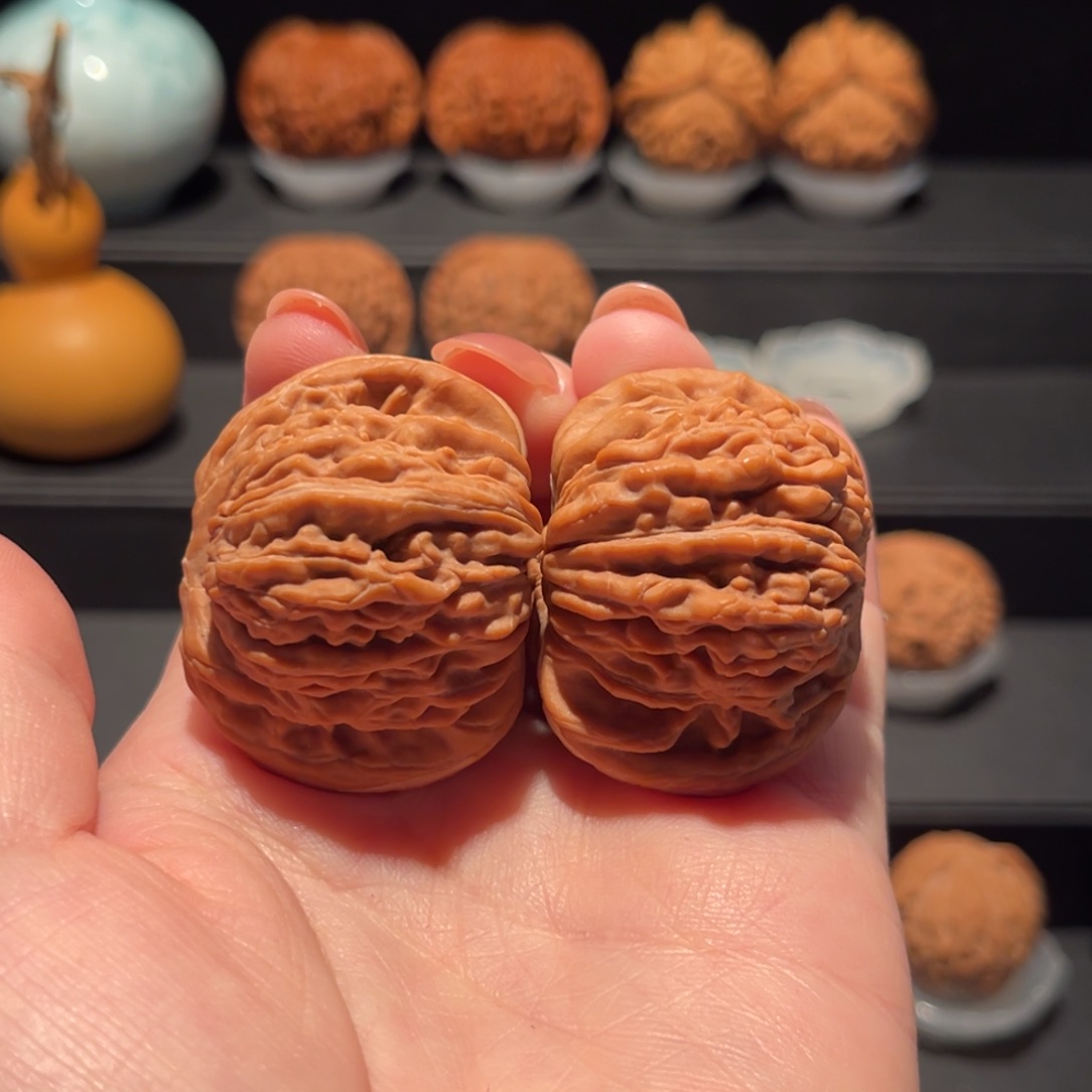 猪***吃蓟县，四座楼41精品361