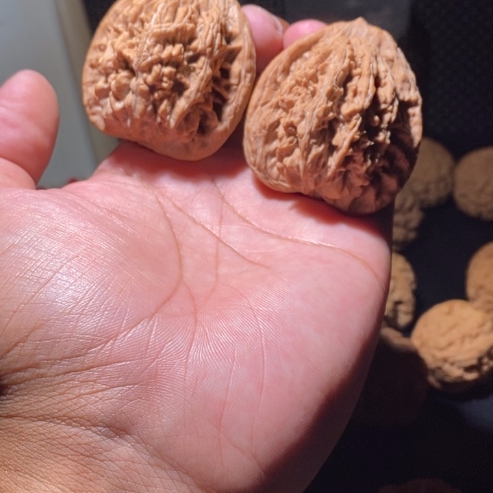 把件文玩核桃Y****r虎头
