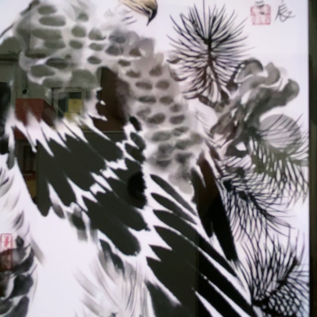 国画素**雪李毅老师作品