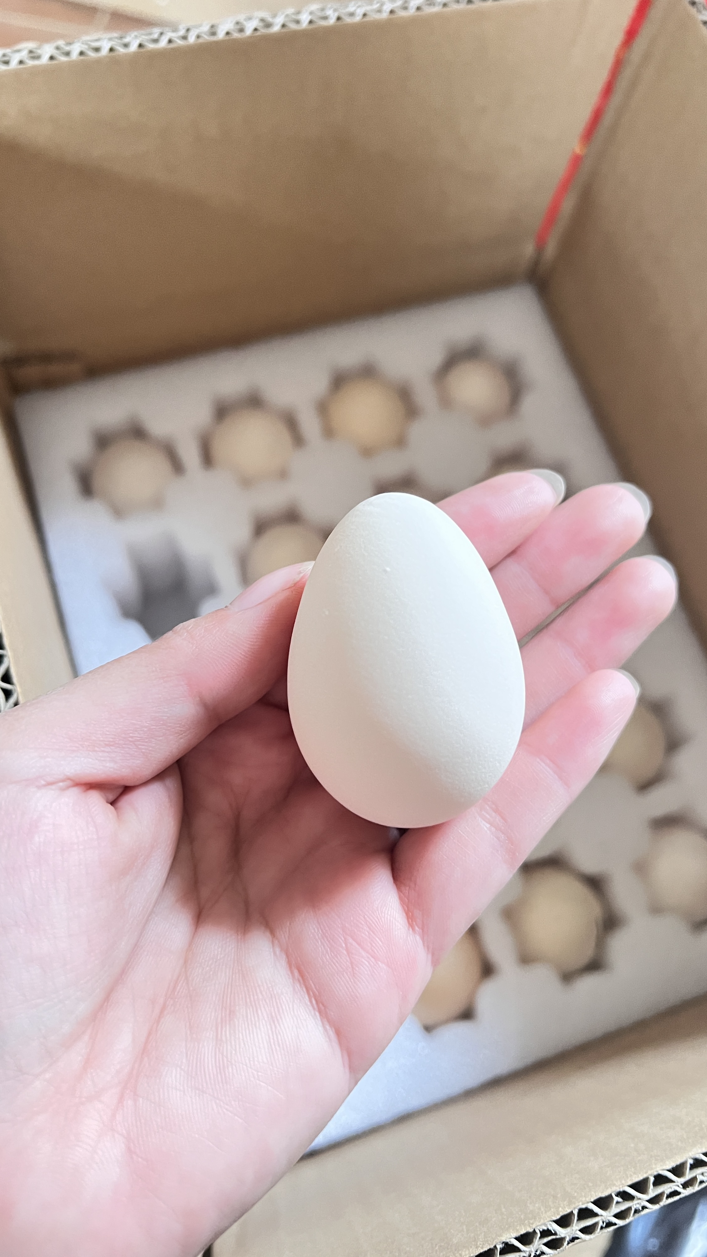 散养土鸡蛋 初生蛋 