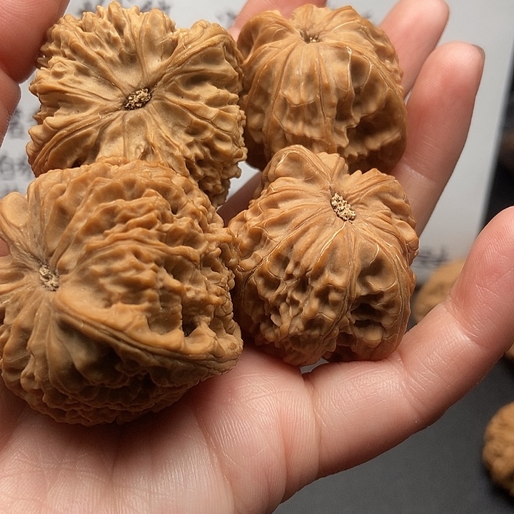 简***，大大大大大南疆磨盘黄金甲