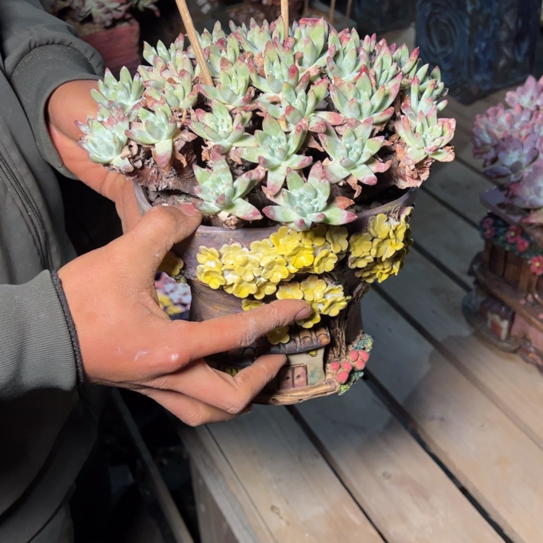 9118个哈哈哈哈哈哈哈哈