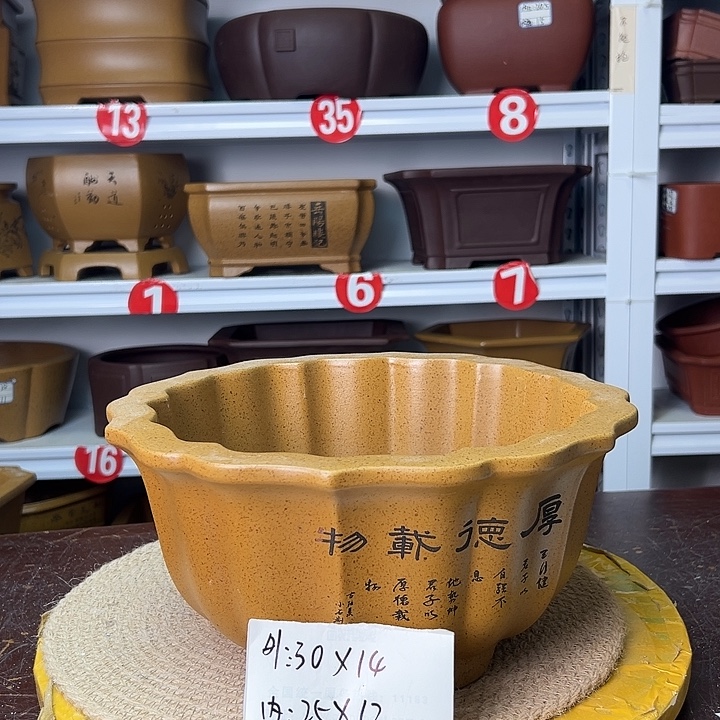 紫砂花盆你在一起