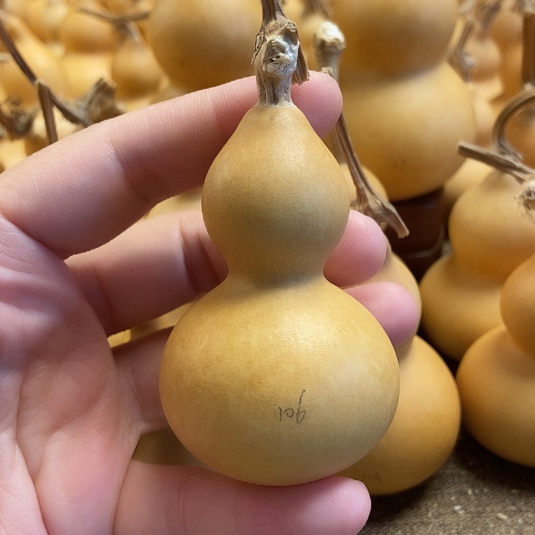 文玩葫芦 完美主义者 慎拍106