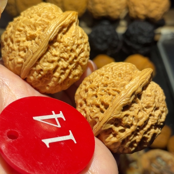 荷***弹铁狮子核桃尺寸41