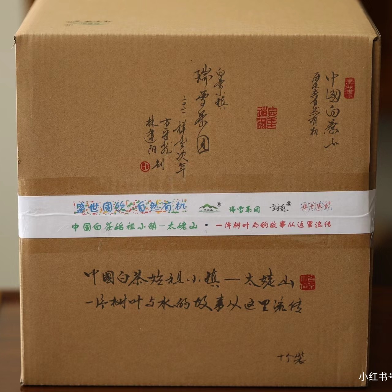 方守龙林逢阳2021年瑞雪茶团冬大叶团茶中国白茶山原生态自然有机