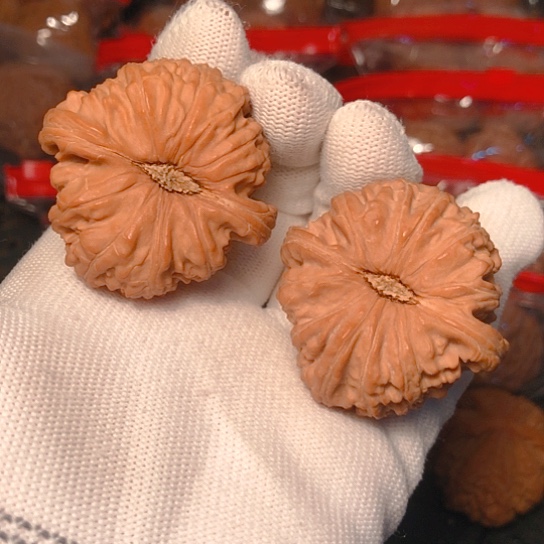 等***、文玩核桃把件白狮子41