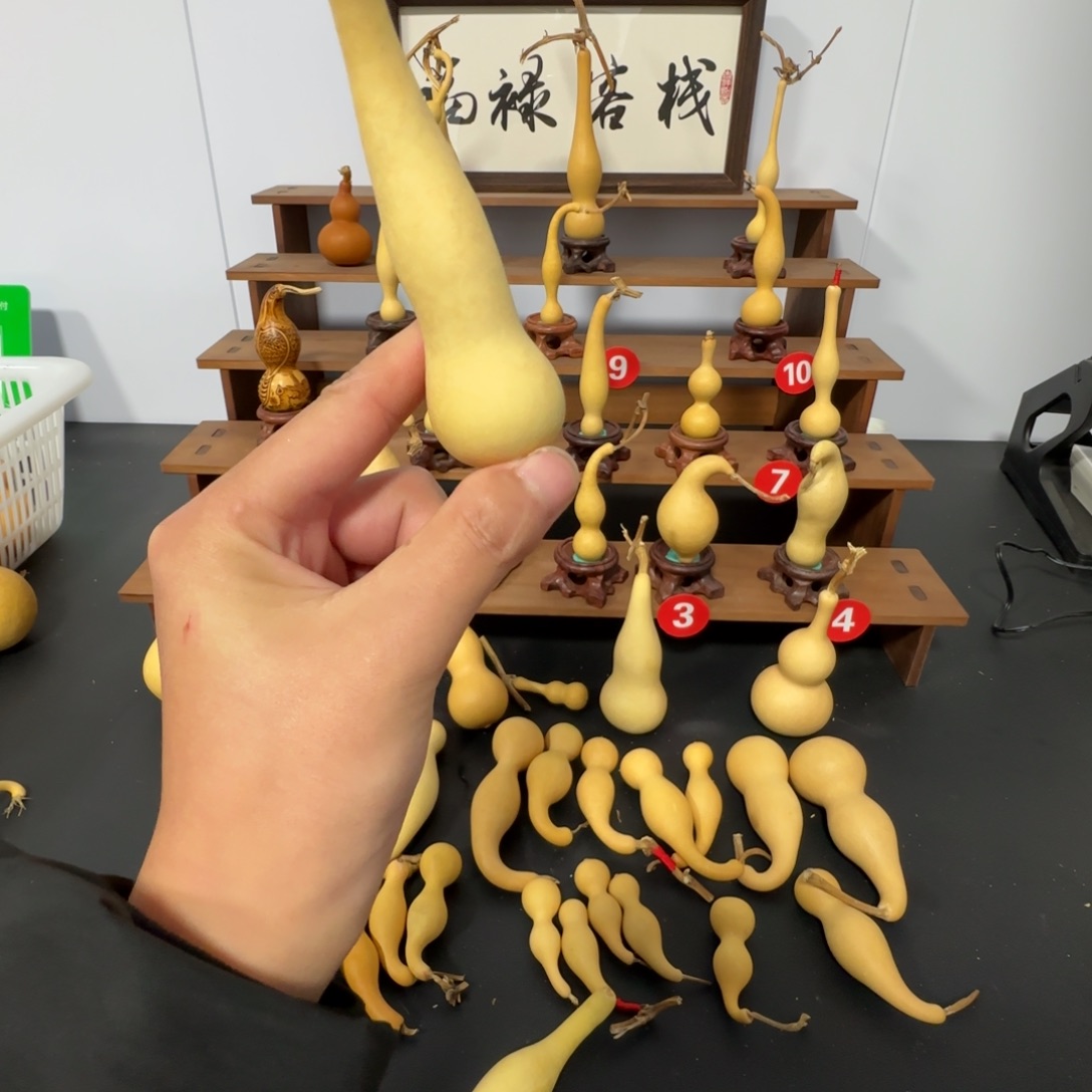 小***胖大叶紫檀（黑酸枝木类）