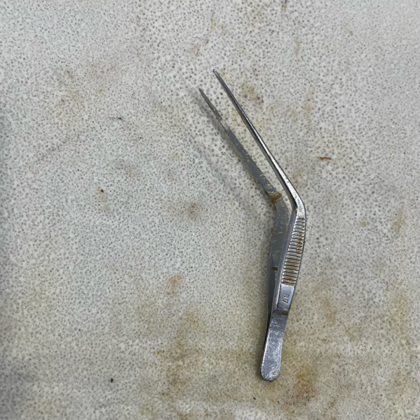 【67C-14】弯状镊子