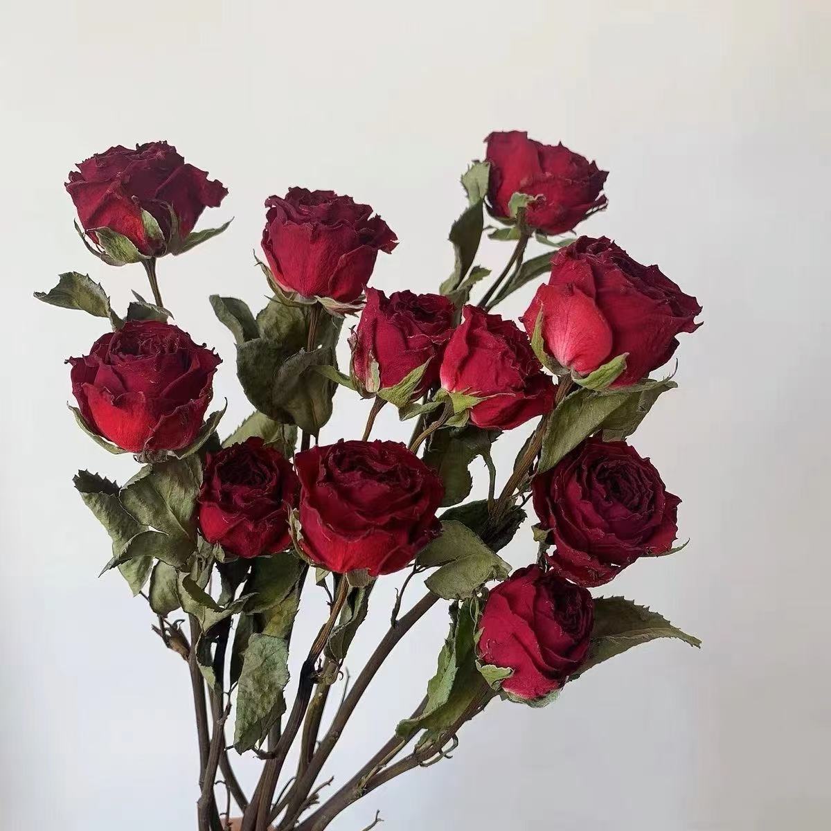 云南边境好物  玫瑰花