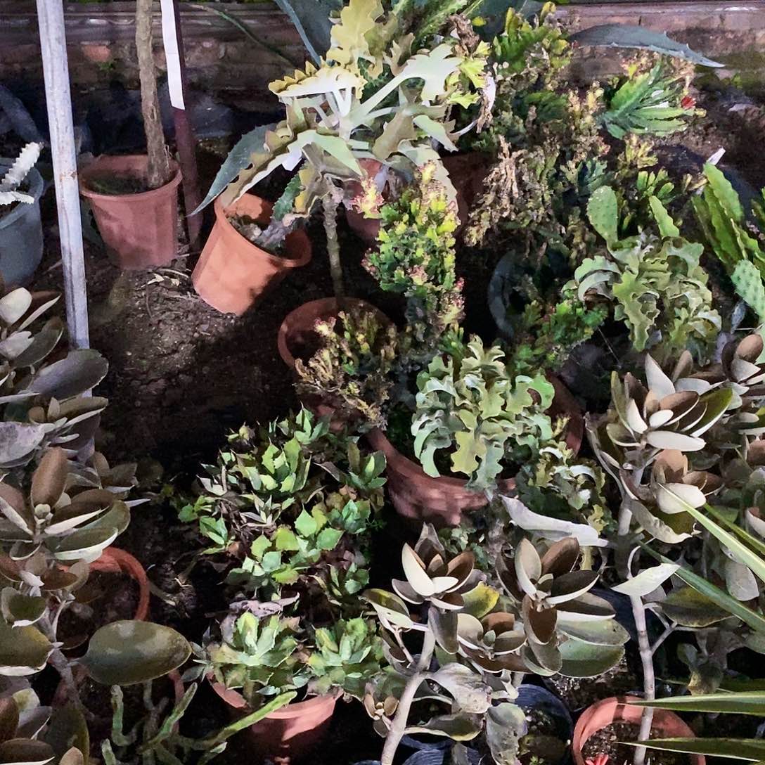 恐**狼00000000000000000