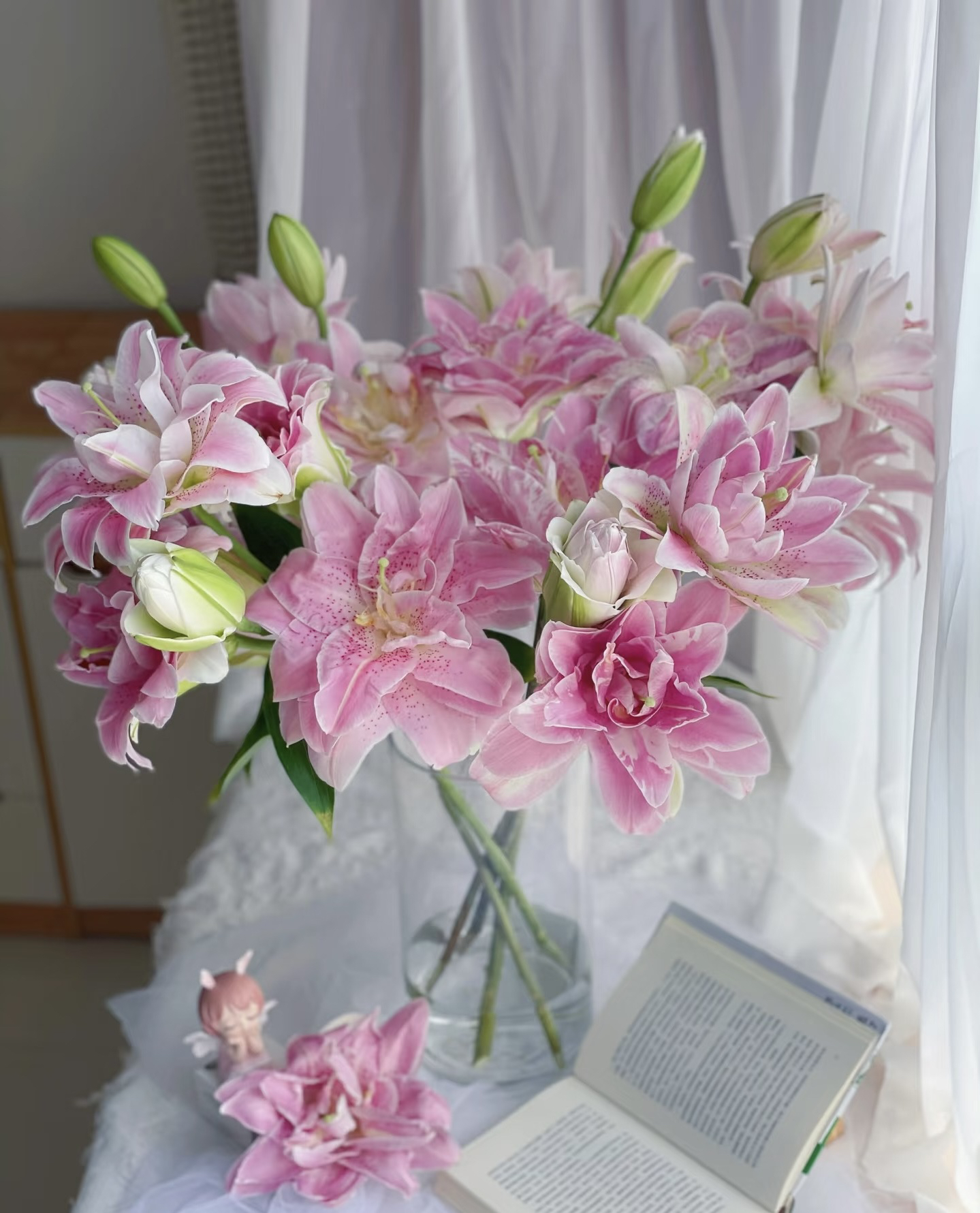 【四头高品质黛安娜小粉仙重瓣】东北基地现采现发顺丰包邮