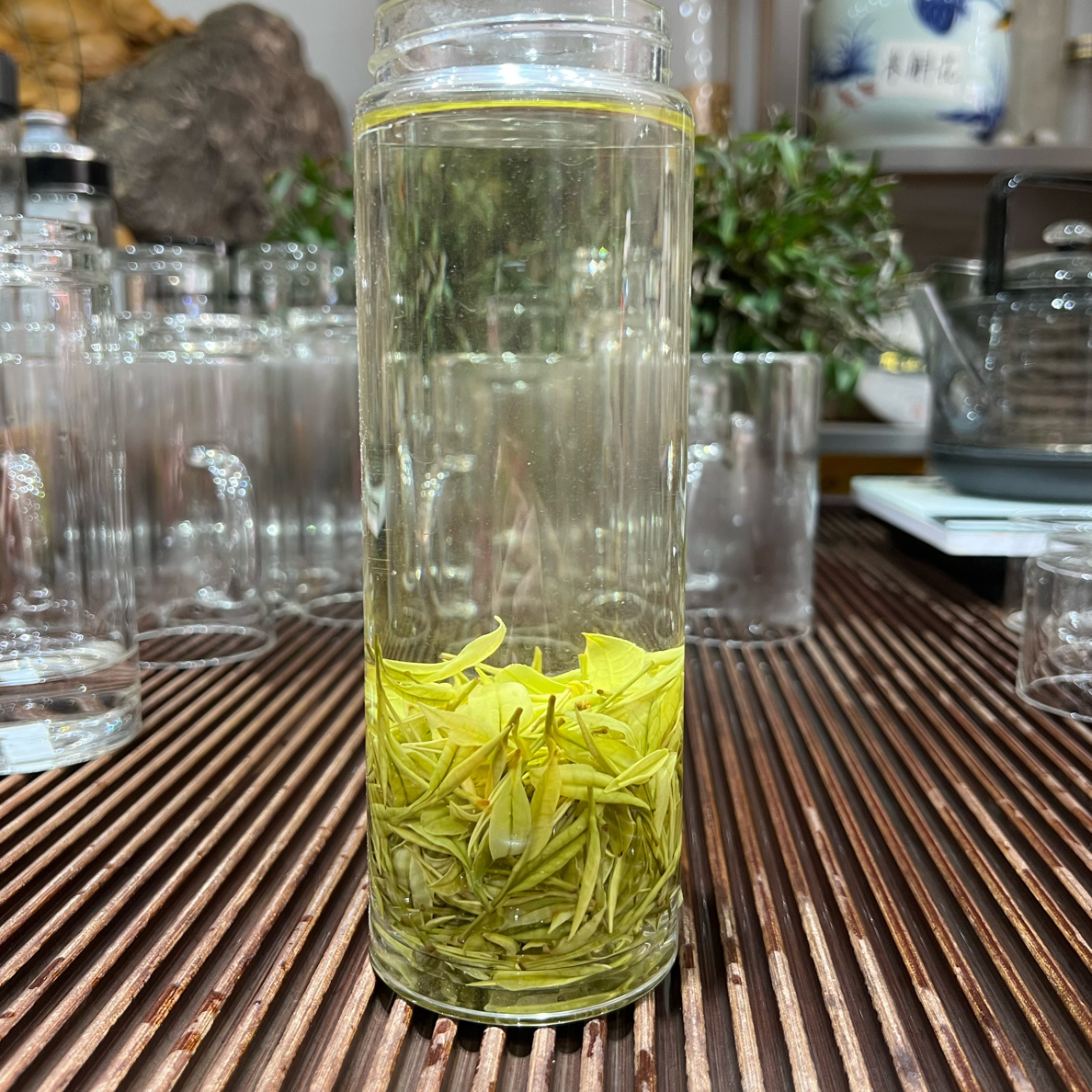 2025新茶高山绿茶白茶