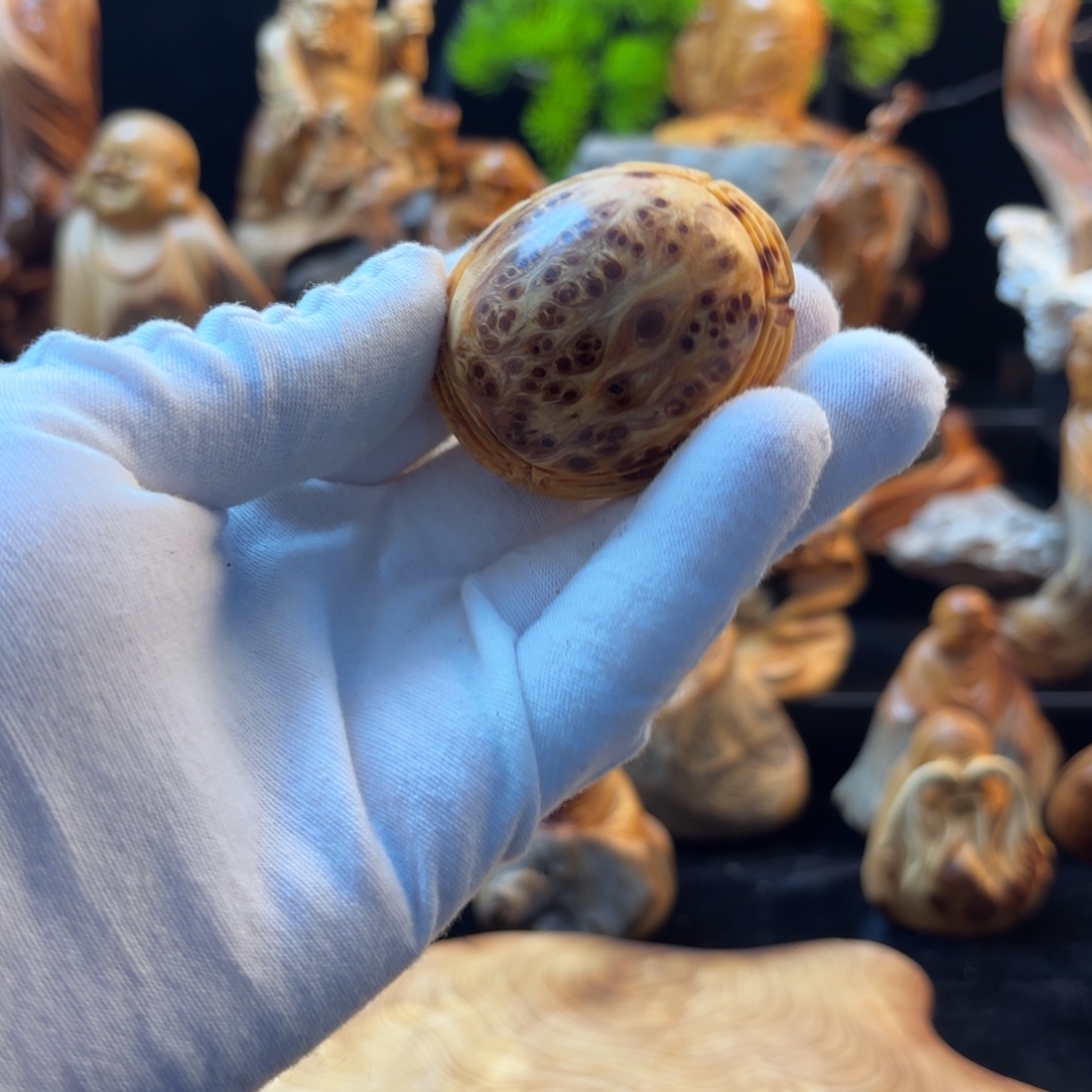 忠***仔柏木111111111111