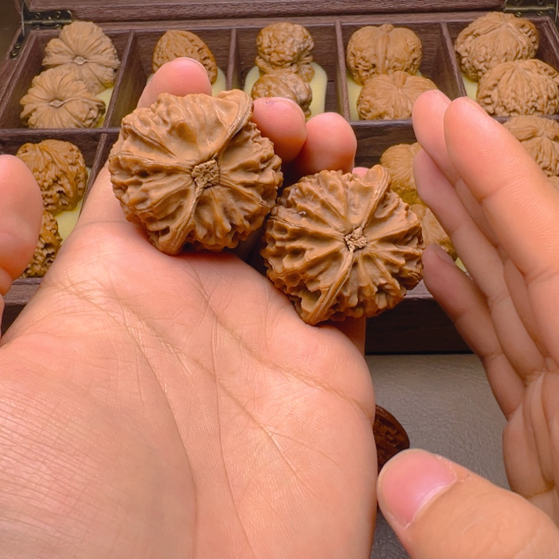 文玩核桃把件44尺宫灯，微修尖部