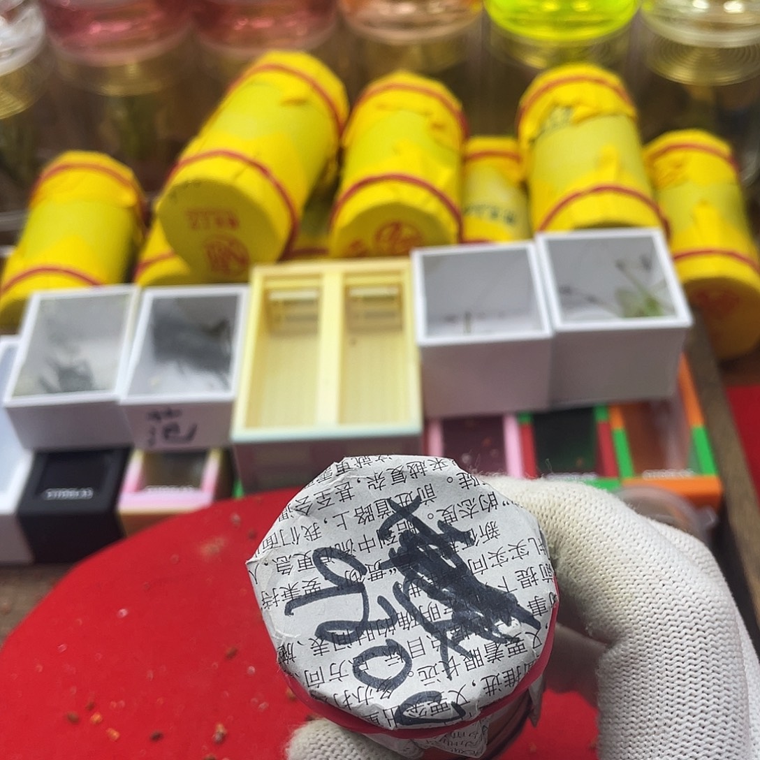 蟋蟀新的一年希望自己能有个好