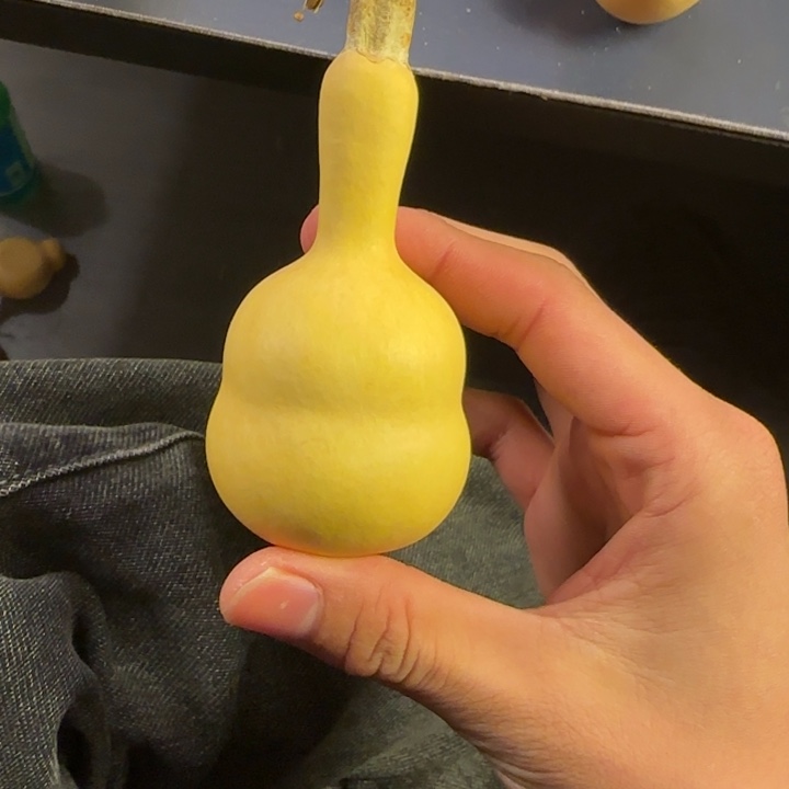 穿***院大叶紫檀（黑酸枝木类）