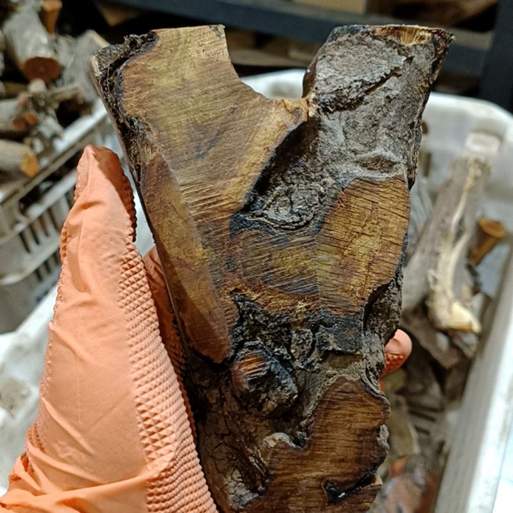 毛***）香榧木麻梨疙瘩毛料毛料毛料