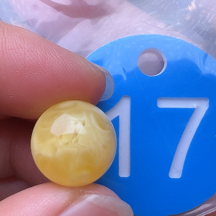 蜜蜡裸石未镶嵌13.5m m